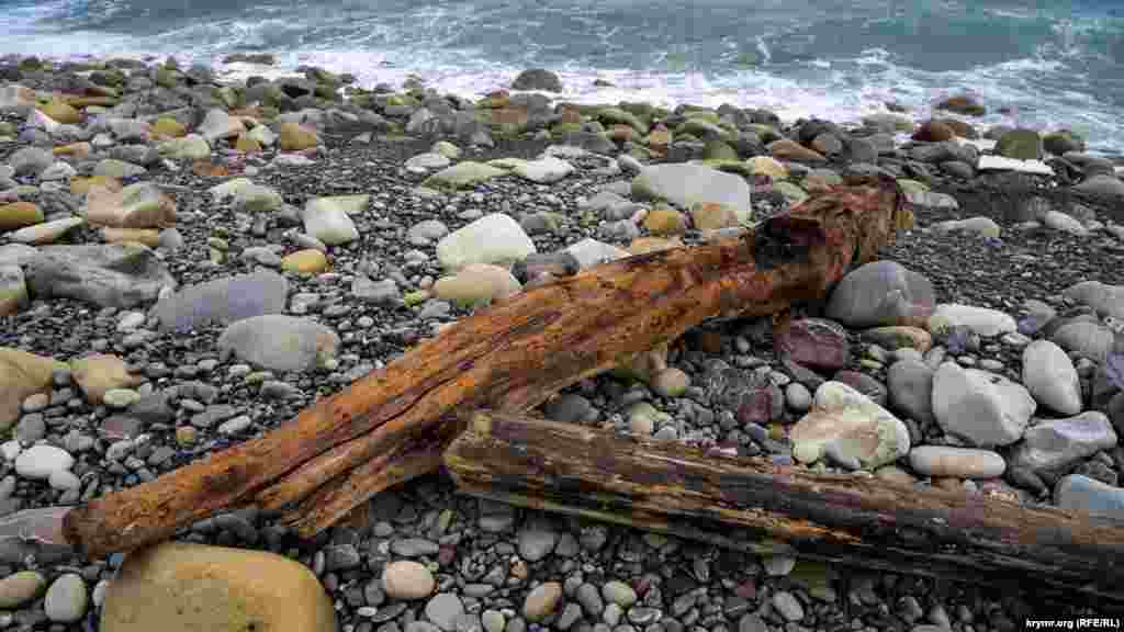 Море успело изрядно отшлифовать аыброшенные на &laquo;нудисткий&raquo; берег бревна