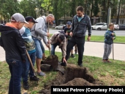 Михаил Петров "Яблоко" партиясының псковтық жетекшісі Лев Шлосбергпен бірге Октябрь даңғылында ағаш отырғызып жатыр. Псков