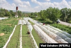 Диқандар ылғал сақтаушы тәсілмен бақша егіп жатыр. Қырғызстан, 19 сәуір 2013 жыл. (Көрнекі сурет)