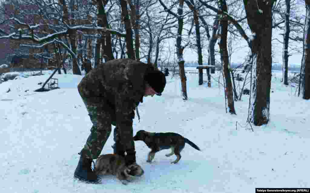 Военный играет с собаками. Одну из них зовут Гильза. Еще бойцы в разных бригадах любят называть своих питомцев Пулями.