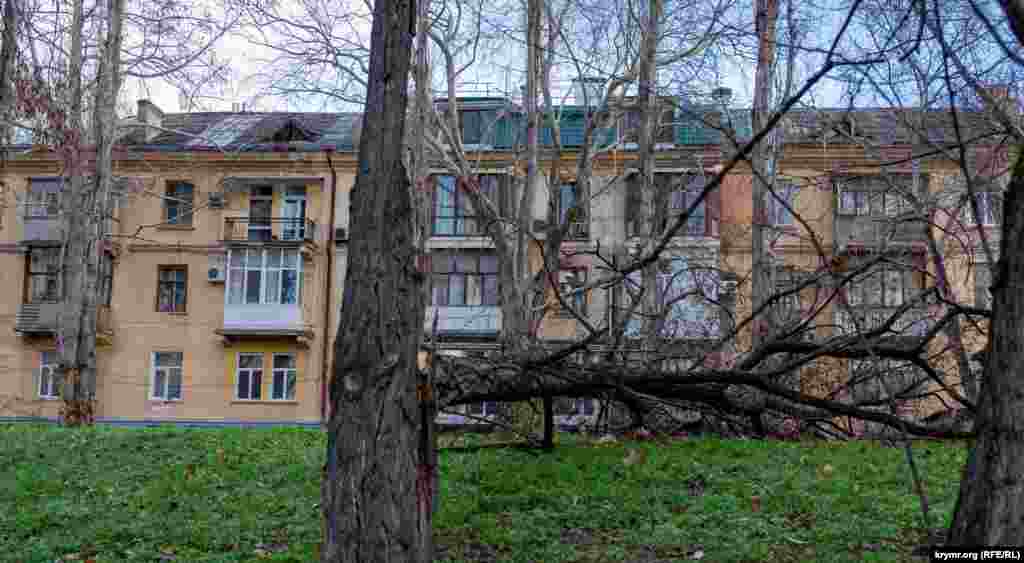 Сломанное дерево около многоквартирного дома в Симферополе