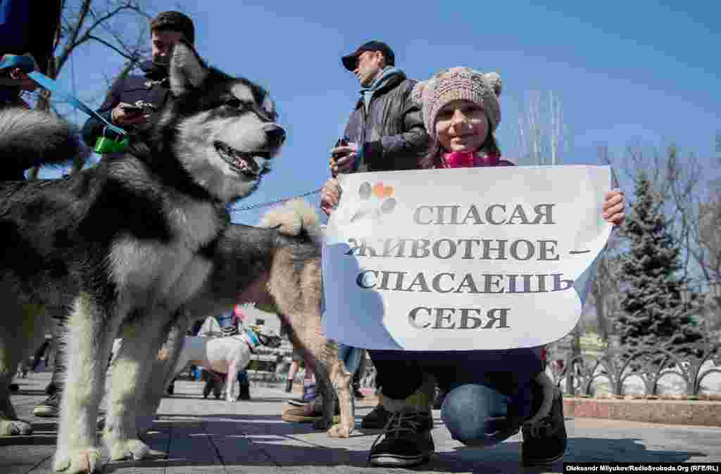 Участники шествия уверены: если быть равнодушными, бездомных животных станет еще больше