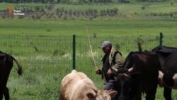 «Ползучая оккупация» в Южной Осетии: восьмая годовщина (видео)